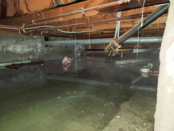 Best Sewage cleanup and water damage restoration  in The Dalles, OR
