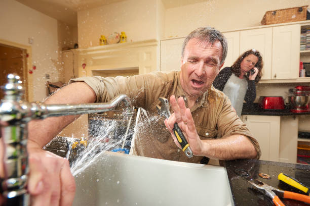 Best Mold removal after water damage  in The Dalles, OR